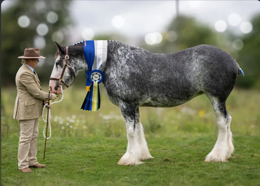 St. Arnaud Agricultural Show