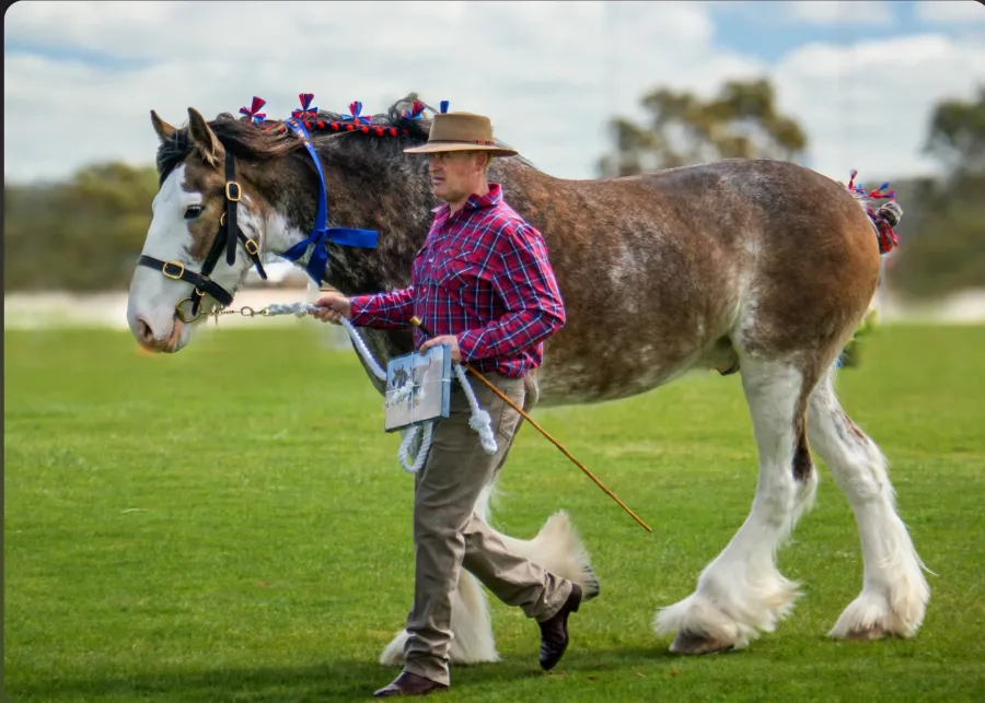 St. Arnaud Agricultural Show