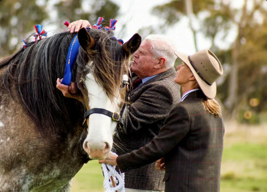 St. Arnaud Agricultural Show