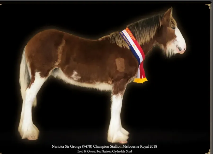 Past Champions RMS