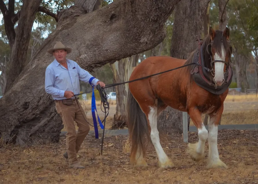 Moora Muster 2025