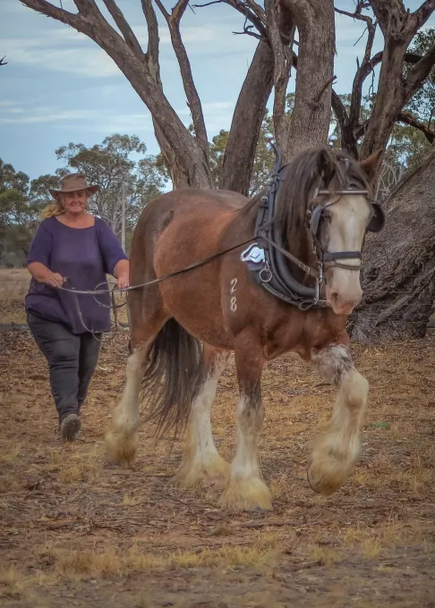 Moora Muster 2025