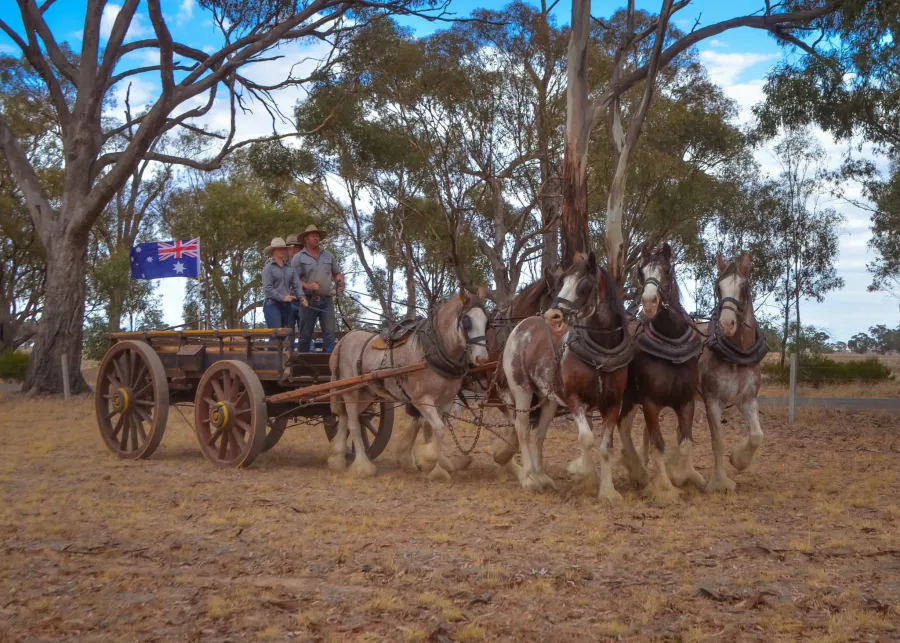 Moora Muster 2025