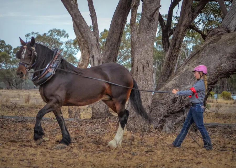 Moora Muster 2025