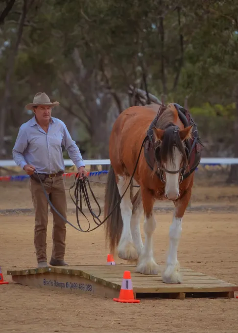 Moora Muster 2025