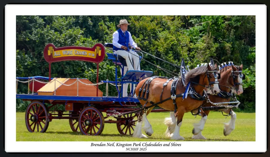National Clydesdale & Heavy Horse Festival