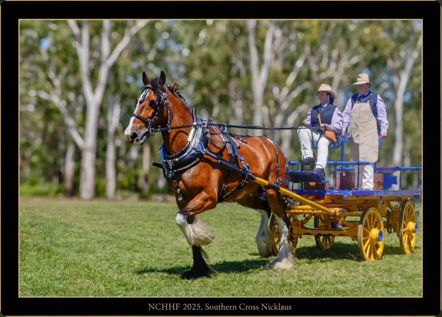 National Clydesdale & Heavy Horse Festival