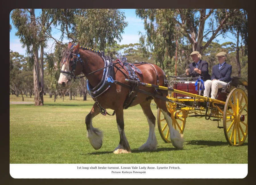 National Clydesdale & Heavy Horse Festival