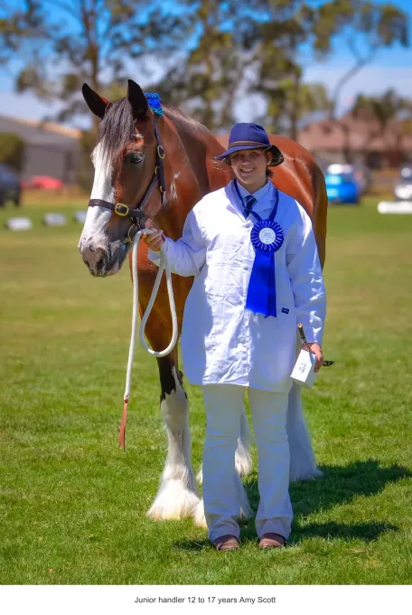 National Clydesdale & Heavy Horse Festival