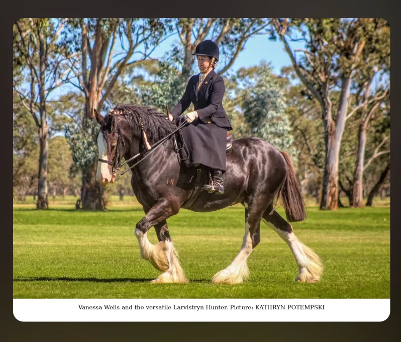 National Clydesdale & Heavy Horse Festival