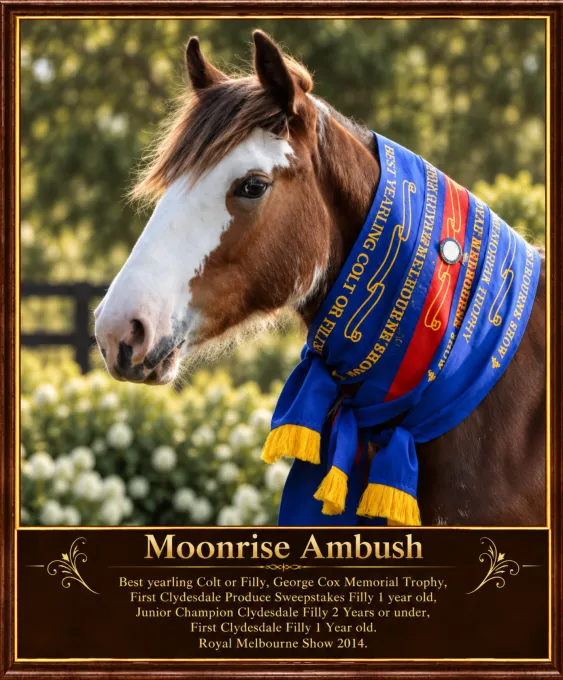 Moonrise Farm RMS