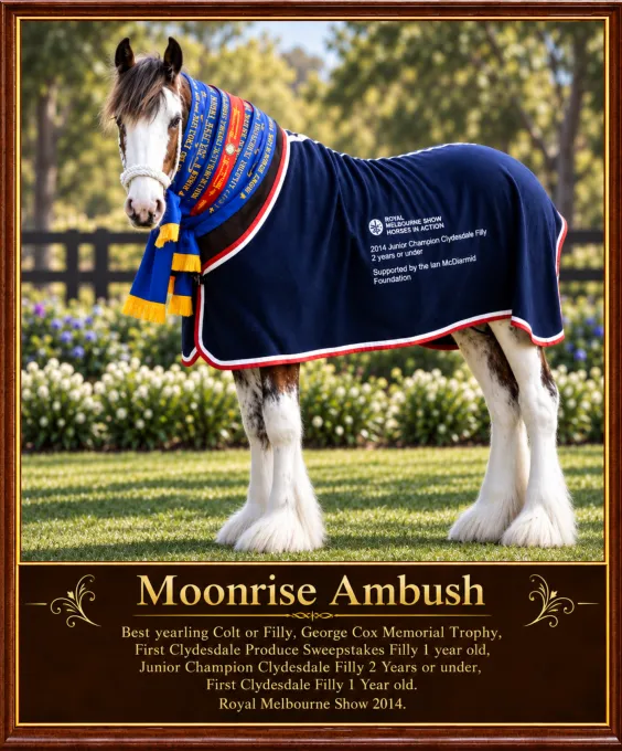 Moonrise Farm RMS