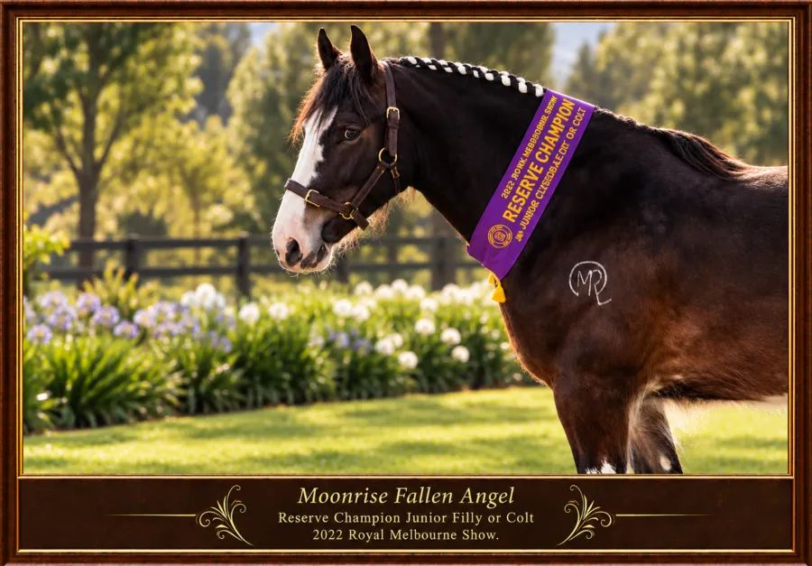 Moonrise Farm RMS