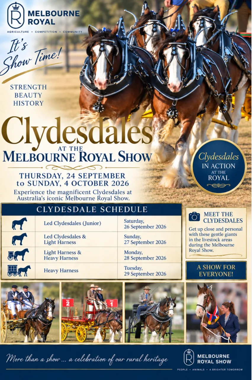 Clydesdales Royal Melbourne Show 
