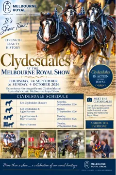 Clydesdales Royal Melbourne Show 