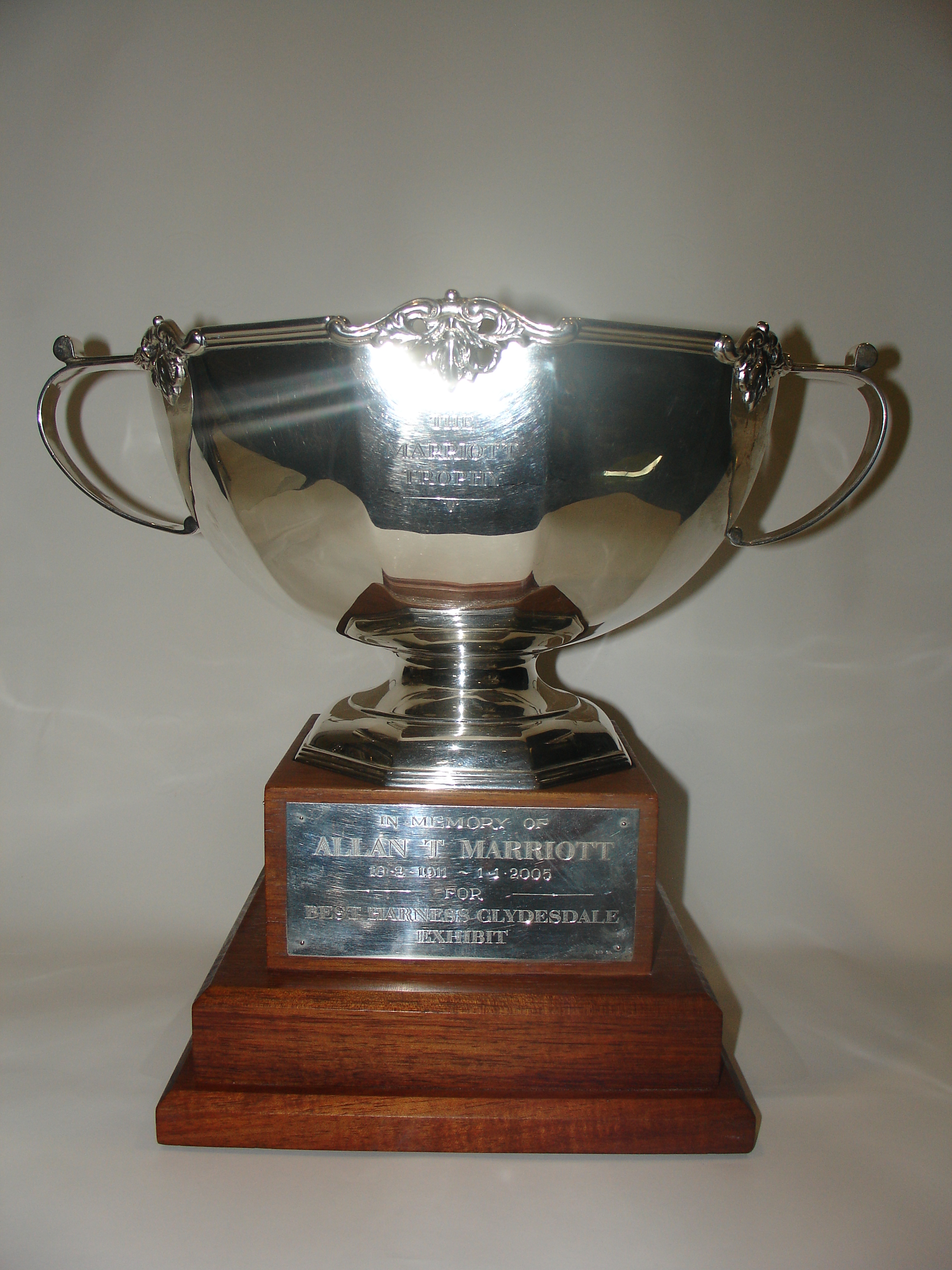 007a  Allan Marriott Trophy.jpeg