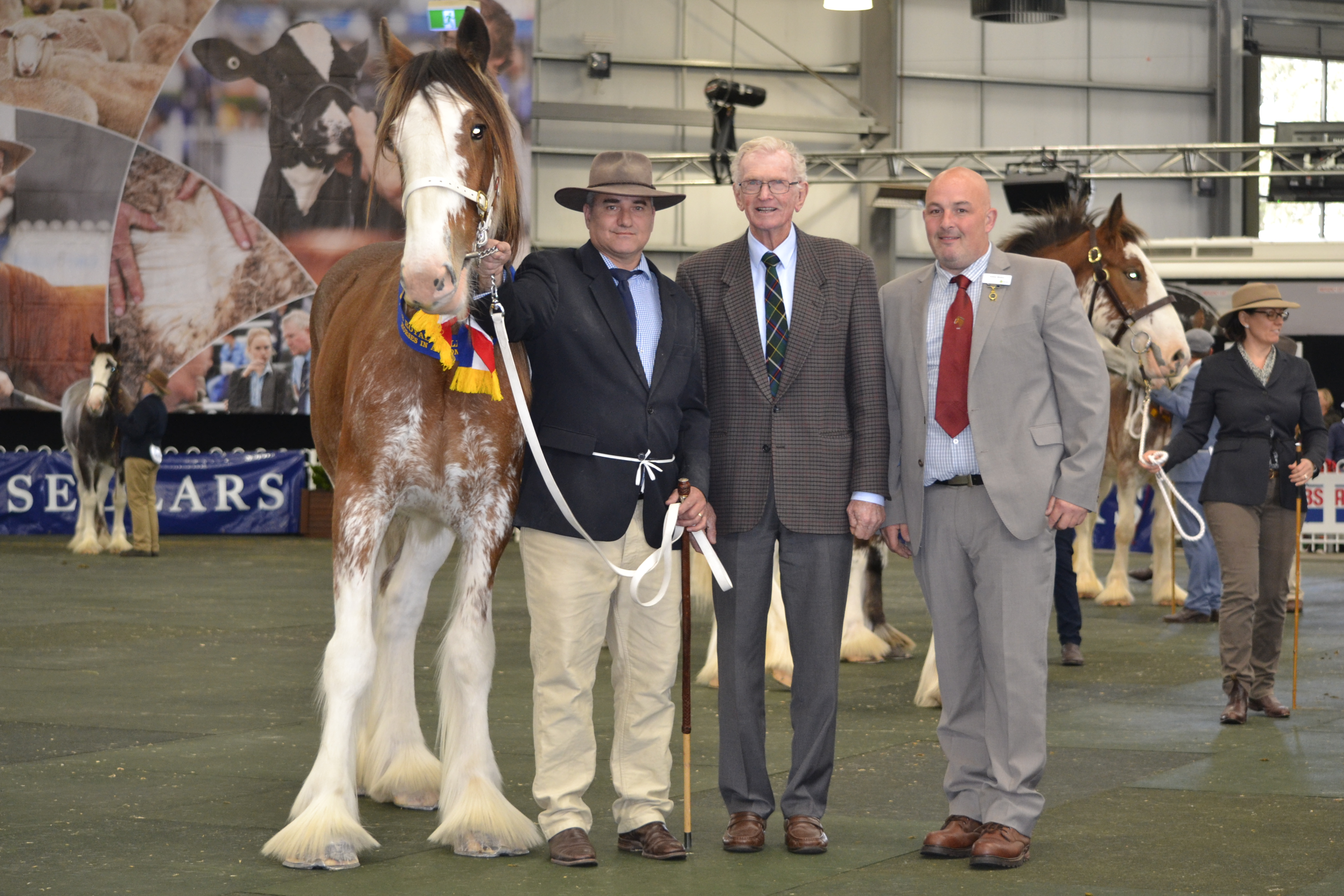 2018 Carinya Princess Sofia  Corrie Rodda Trophy.jpeg