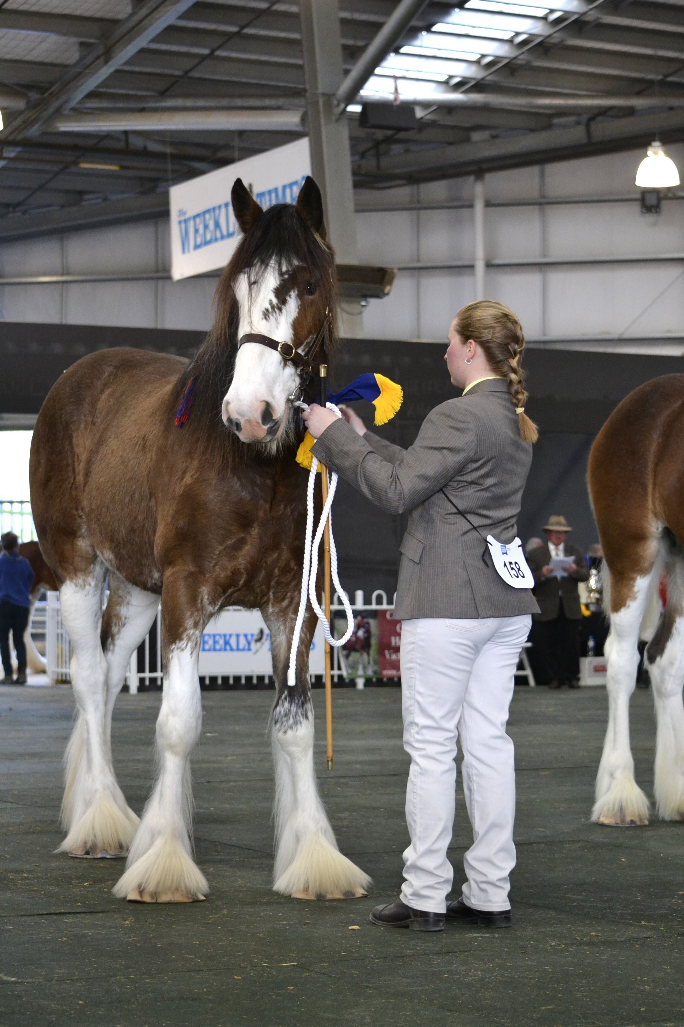 2015 Beereega Lady Cologne Corrie Rodda trophy .jpeg