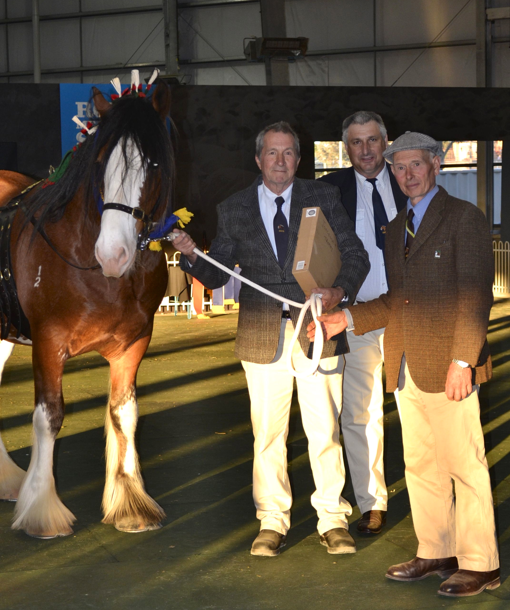 2015 Edwin Bradley - Yulong Rainon Jorgensen Trophy.jpeg