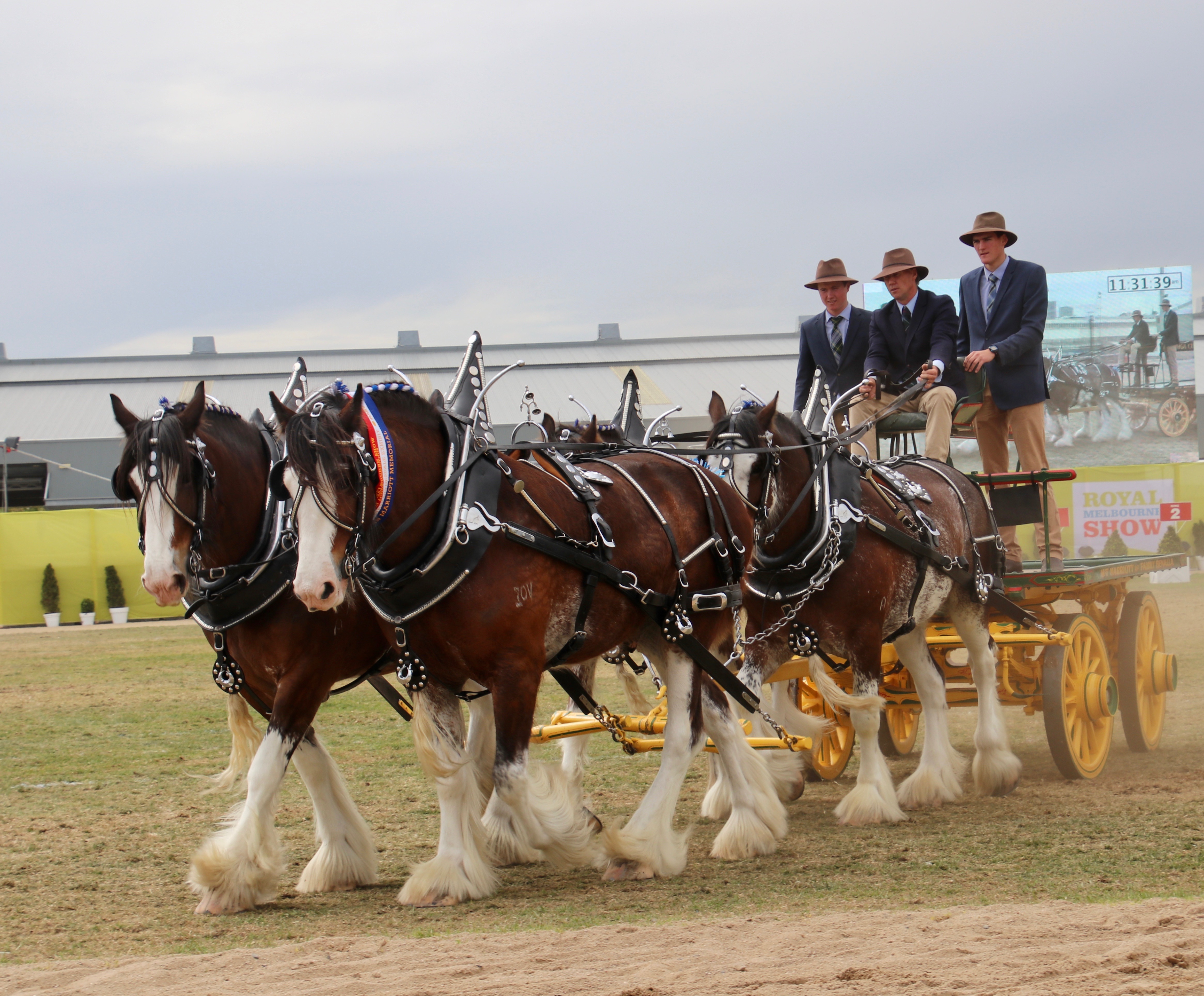 2018 Fours -Pride Prince Phillip Peta -Allan Mariott Trophy.jpeg