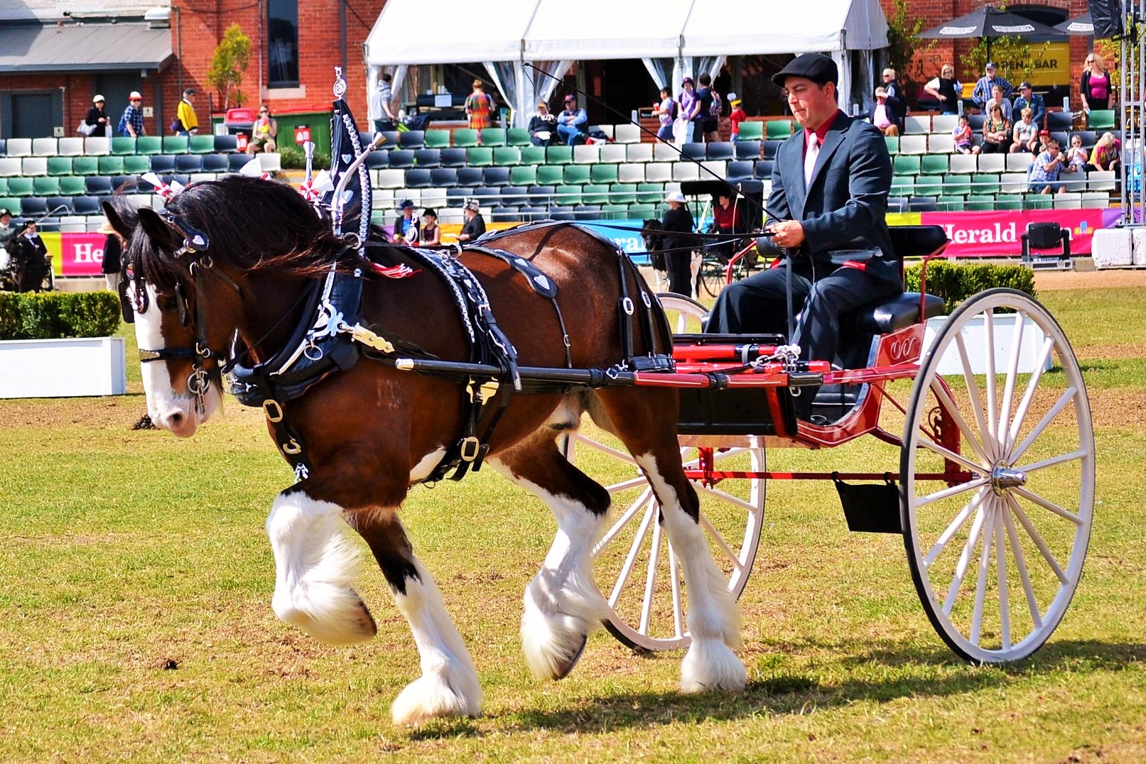 2015 McMurchie Blair - Allan Marriott Trophy .jpeg