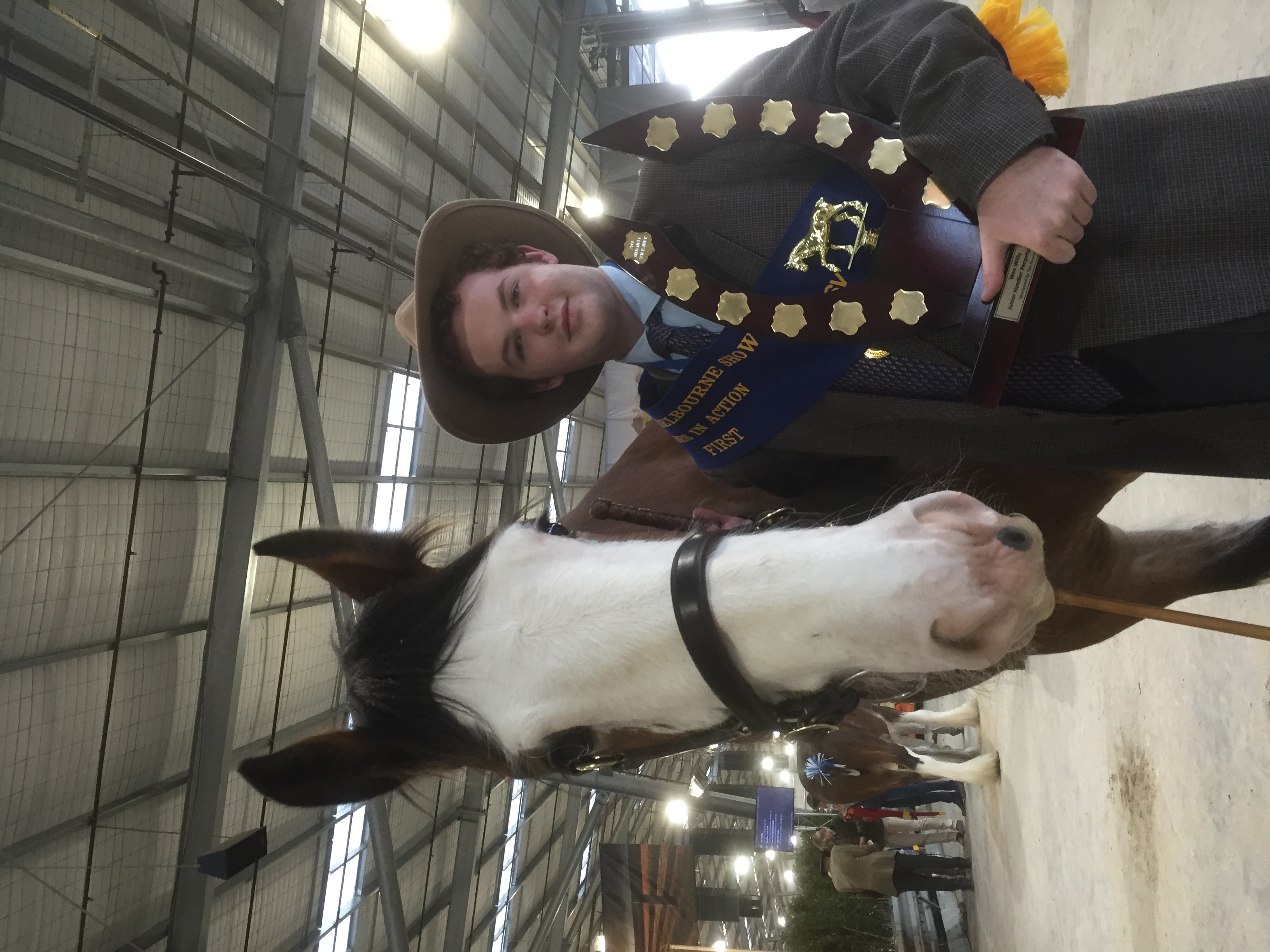 2015  Mitchell Wiltshire - Wee Willie.jpeg