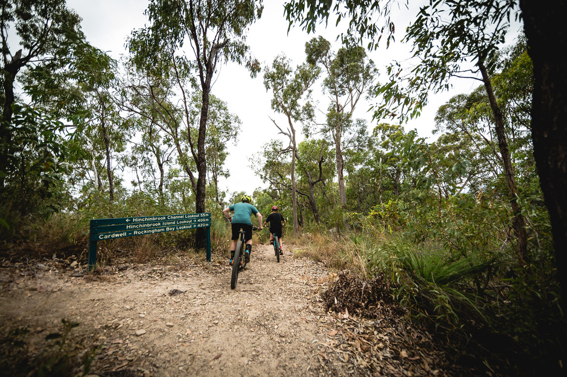 Cardwell King of the Mountain bike