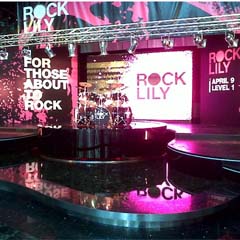 Rock Lily