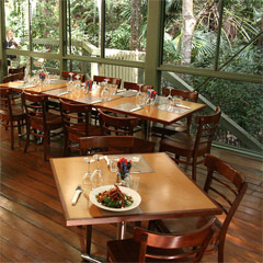 Rainforest Cafe Port Macquarie Nsw Rainforest Cafe Port Macquarie Nsw