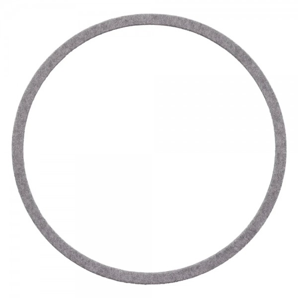 lens