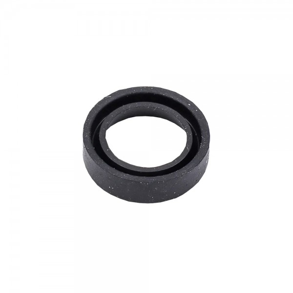 lens