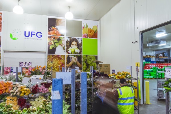 1107FlowersAuction0048