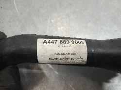 537004