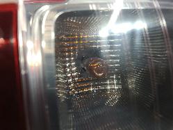 531016