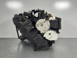 559982