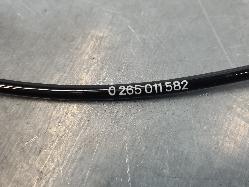 556028
