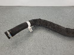 559834