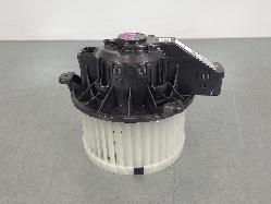 558204