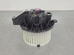 558202