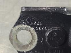 555118