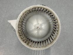 545446