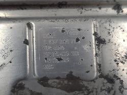 557816
