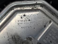 557818