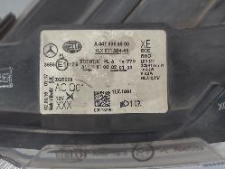 557538
