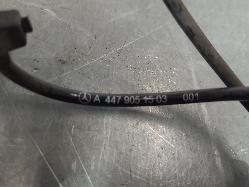 563684