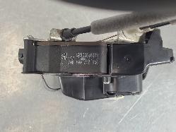 556206
