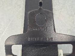 559614