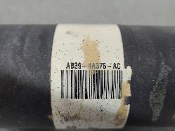 565594