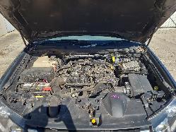 556976