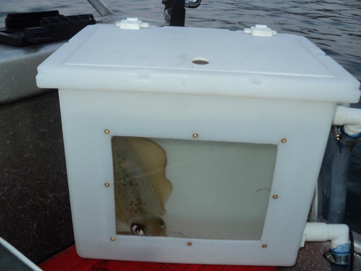 Live Bait Tank Ideas at Stephen Francisco blog